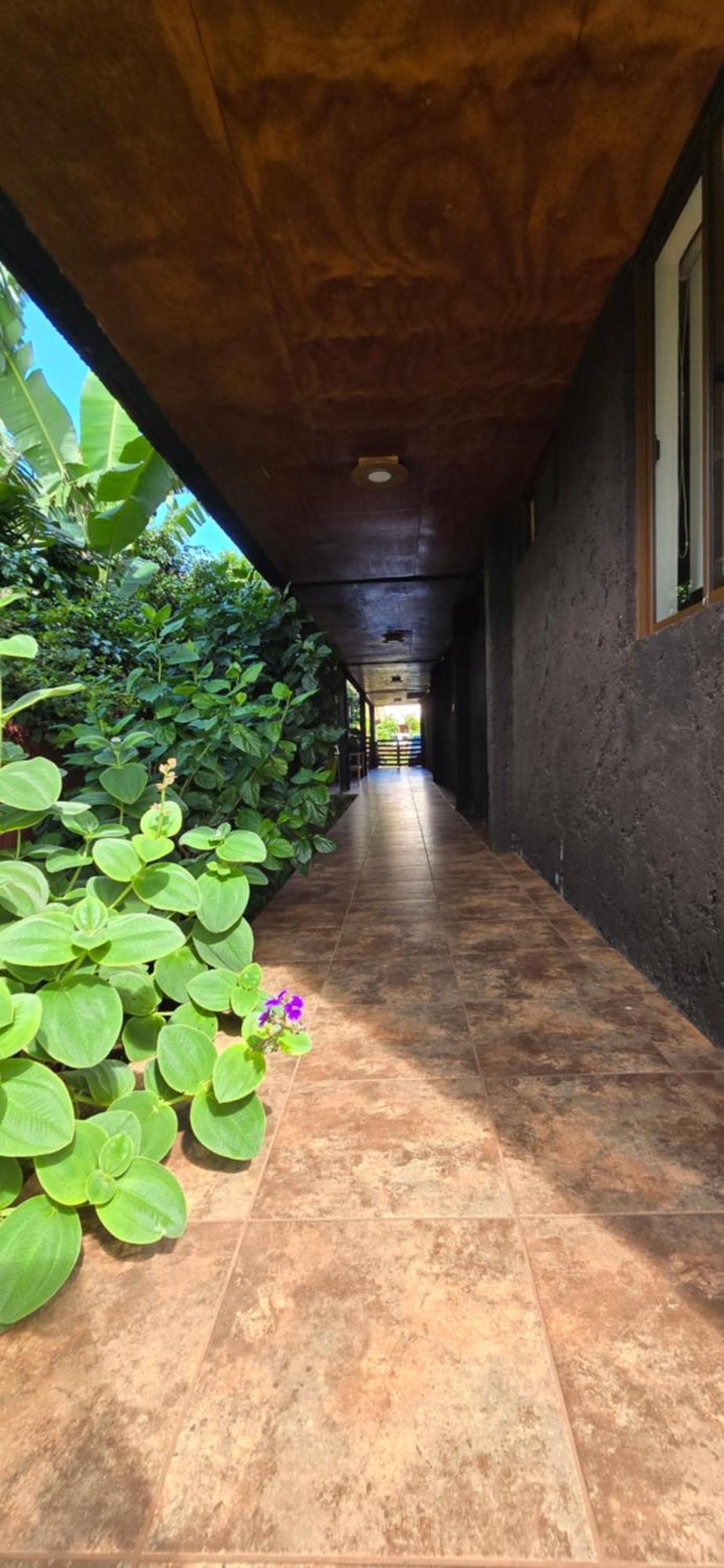 Apartamentos Tupuna Lodge Hanga Roa Room photo
